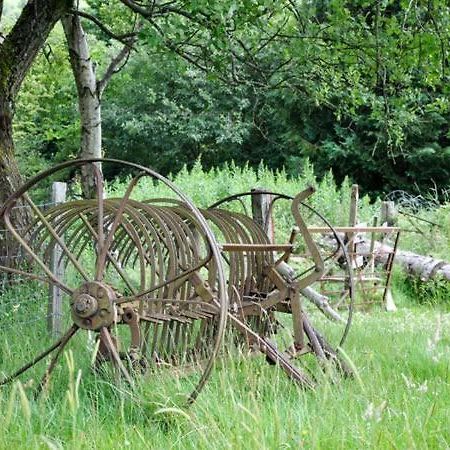 Hendre Aled Cottage 1 Llansannan 외부 사진