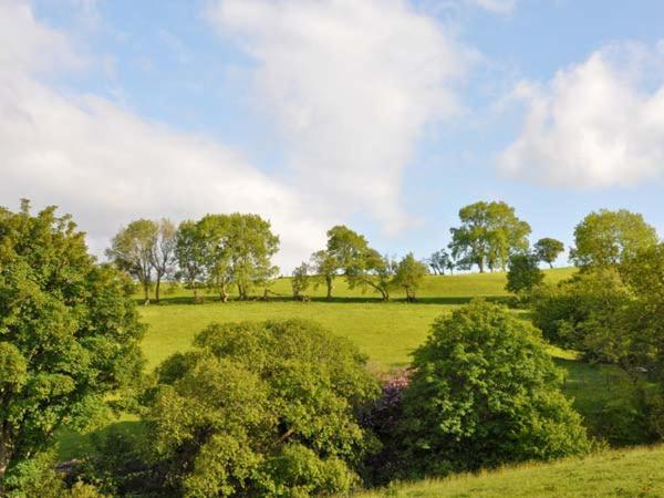 Hendre Aled Cottage 1 Llansannan 외부 사진